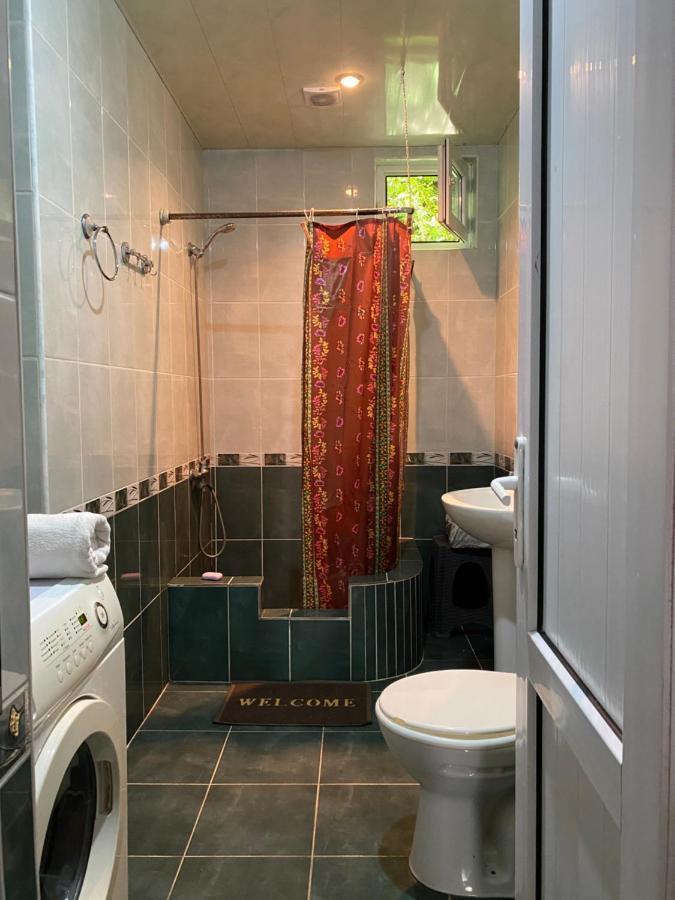 Lentekhi Guest House Konstanta מראה חיצוני תמונה